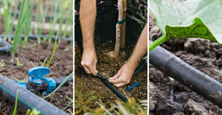 Step-by-Step Guide: Setting Up a Drip Irrigation System for Your Garden