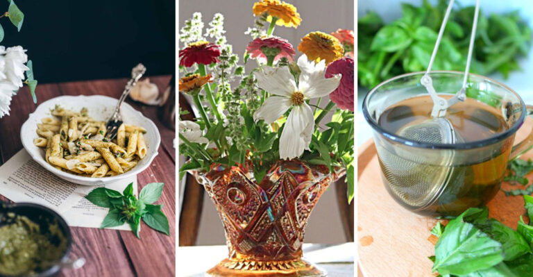 Stop Tossing Basil Blooms! Try These Brilliant Uses Instead