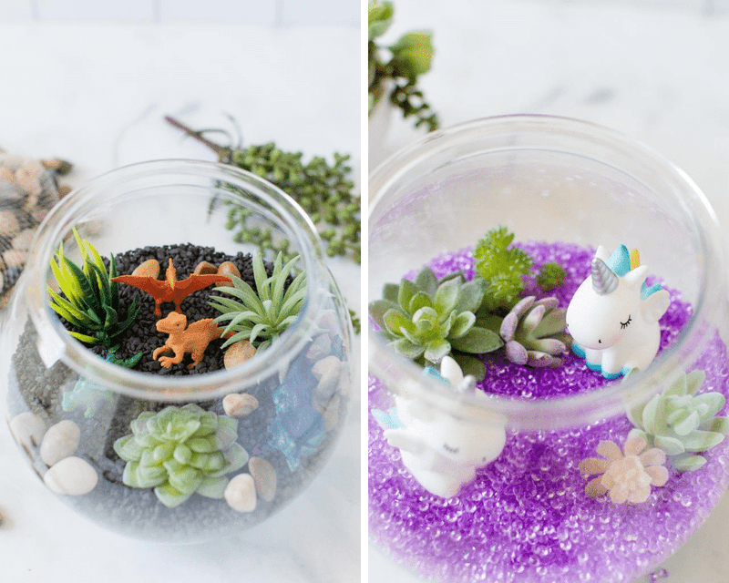 Terrarium Creation