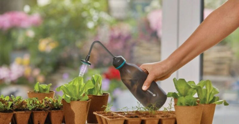 The Top 8 Must-Haves for Successful Indoor Seed Starting