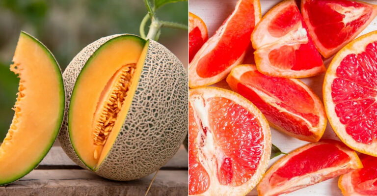 Top 20 Fruits High in Vitamin C for a Stronger Immune System