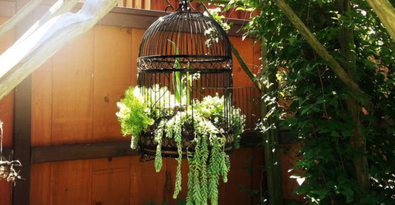 Transform 8 Everyday Household Items Into Creative Planters