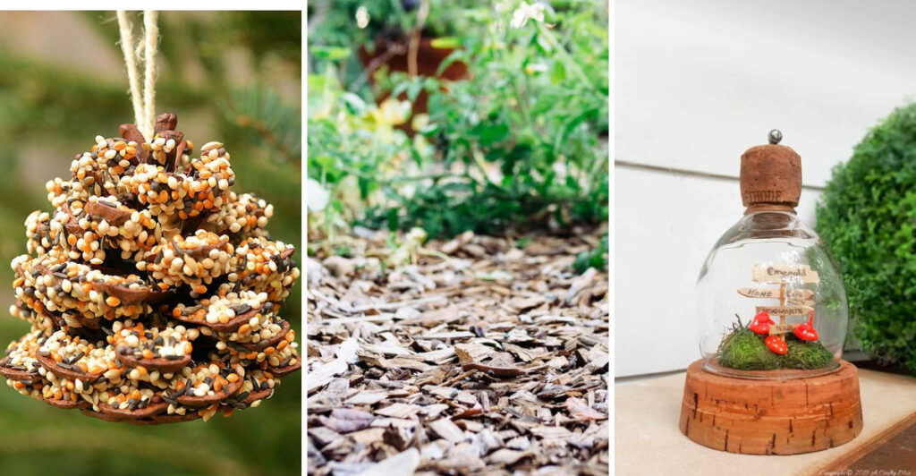 Turn Holiday Waste into Garden Gold with 9 Simple Recycling Hacks