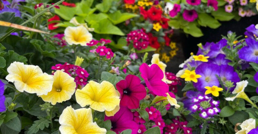 Turn Your Passion for Plants into a Profitable Business