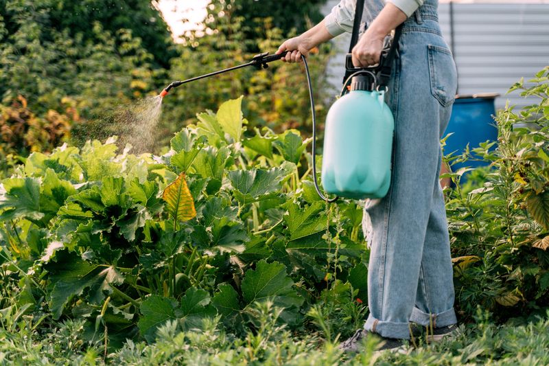 Using Restricted Pesticides