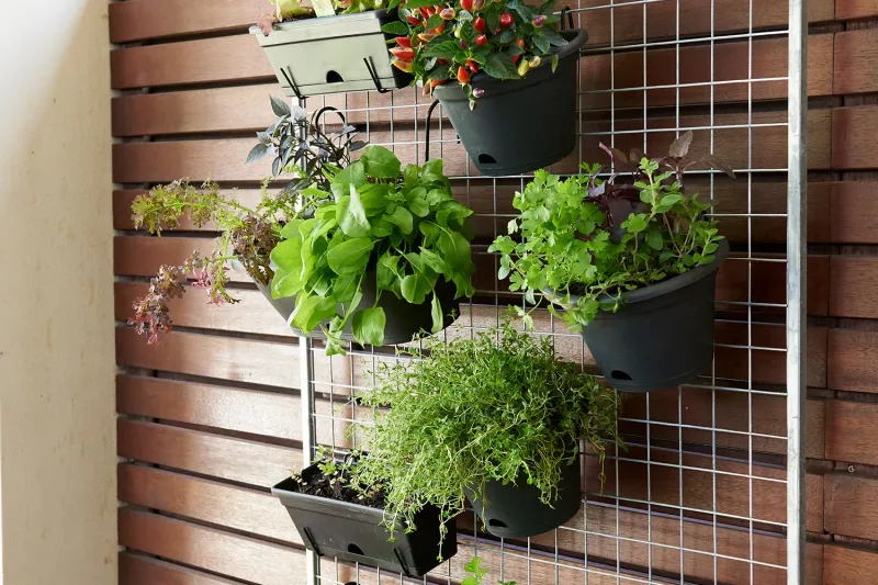 Vertical Herb Garden