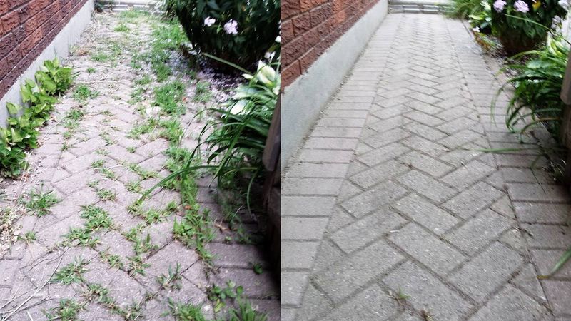 Weed-Free Pathways with Vinegar