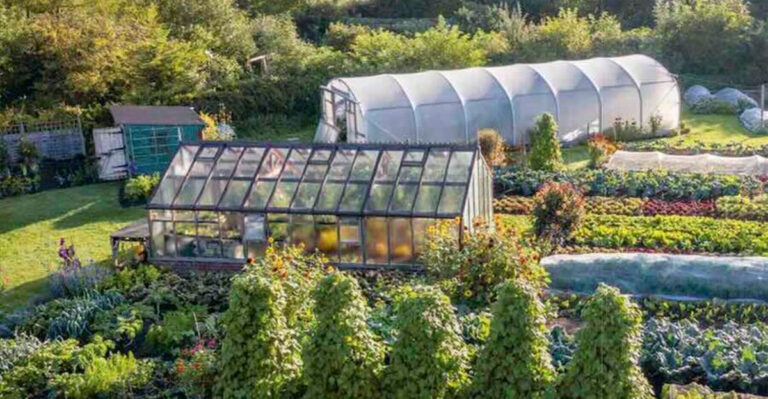 Why Everyone Is Talking About No-Dig Gardening?
