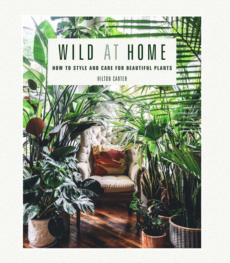 Wild at Home: How to Style and Care for Beautiful Plants by Hilton Carter