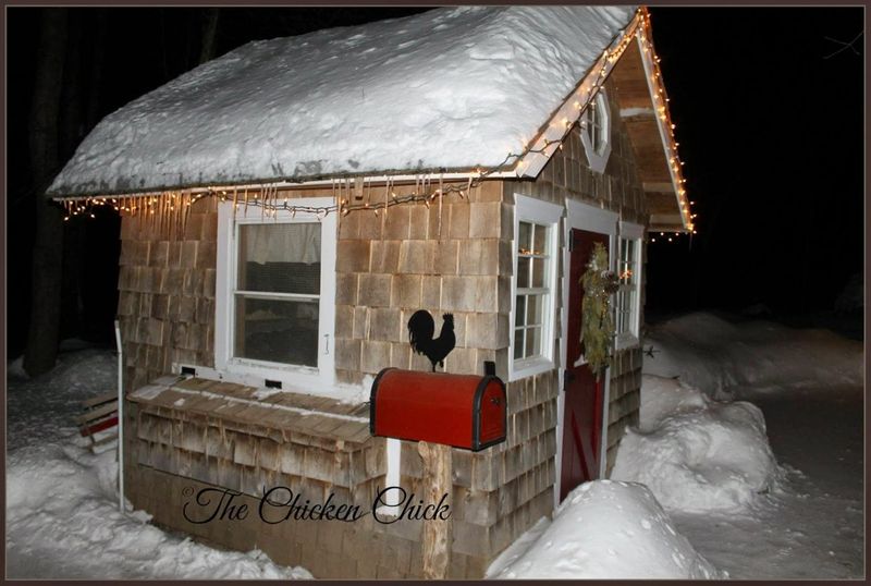 Windbreaks and Shelters