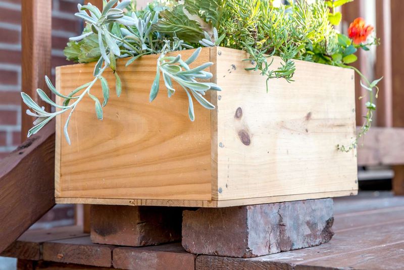 Wooden Planters