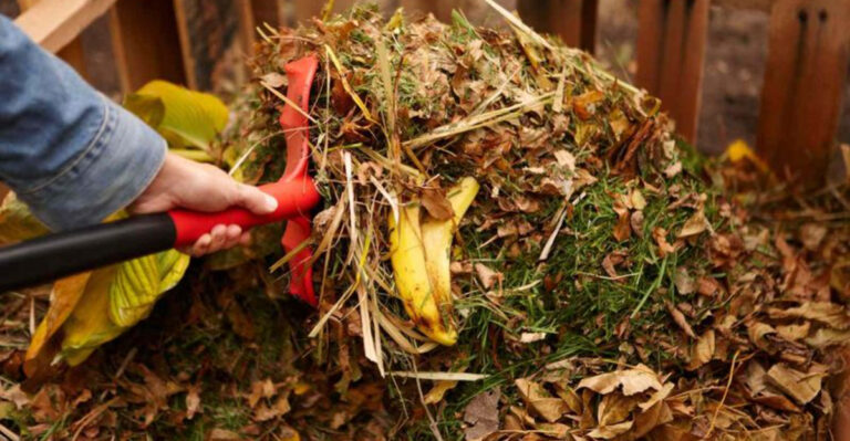10 Composting Myths You Shouldn’t Believe