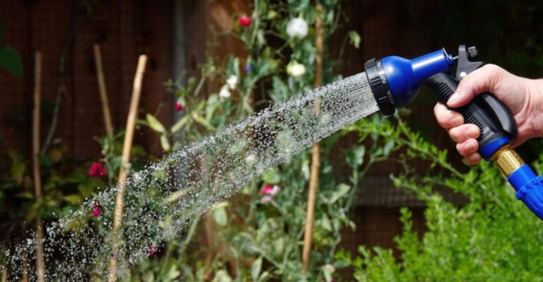 10 Essential Tips for Watering Your Vegetable Garden the Right Way