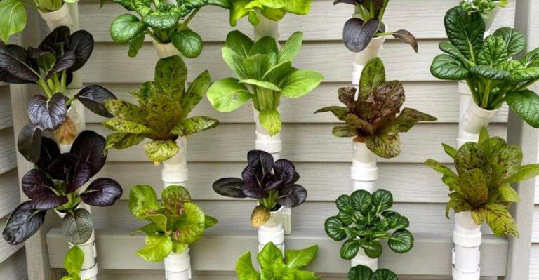 10 Off The Wall Gardening Ideas To Try This Spring