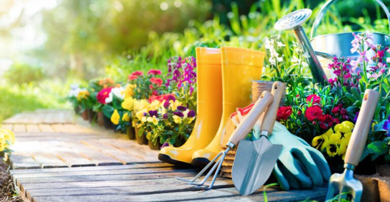 10 tips for Winter-to-Spring Transition: Pruning and Fertilizing 101