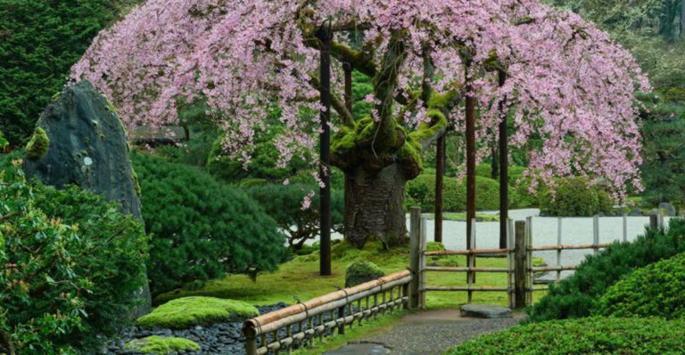 13 Reasons Japanese Gardens Outshine the Average American Backyard