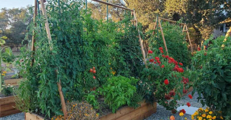 13 Secret Tricks to Strengthen Plant Stems and Boost Growth Naturally!