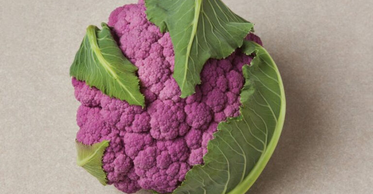 14 Freaky Veggie Hybrids You Can Experiment With