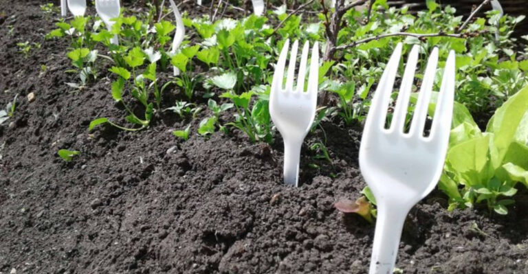 17 Bizzare Gardening Hacks That Actually Work