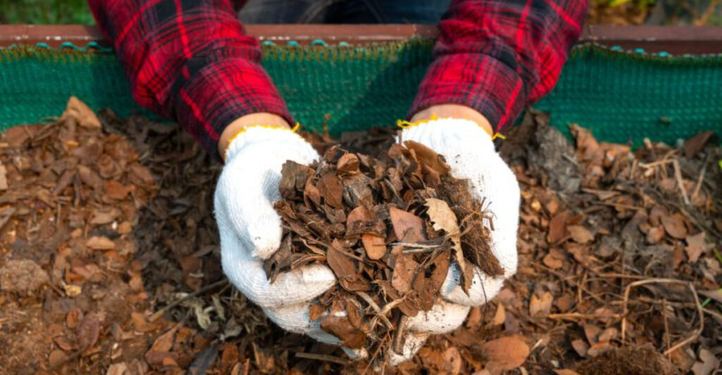 20 Mulch Ideas to Improve Soil, Save Water, and Reduce Weeds