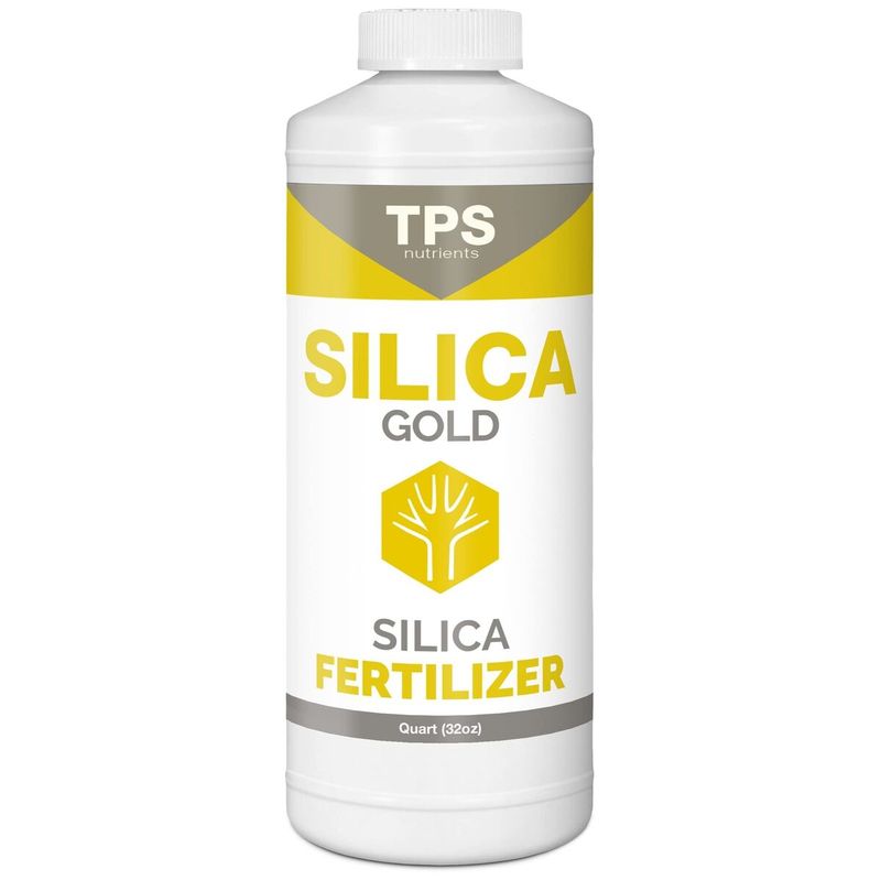 Apply Silica Supplements