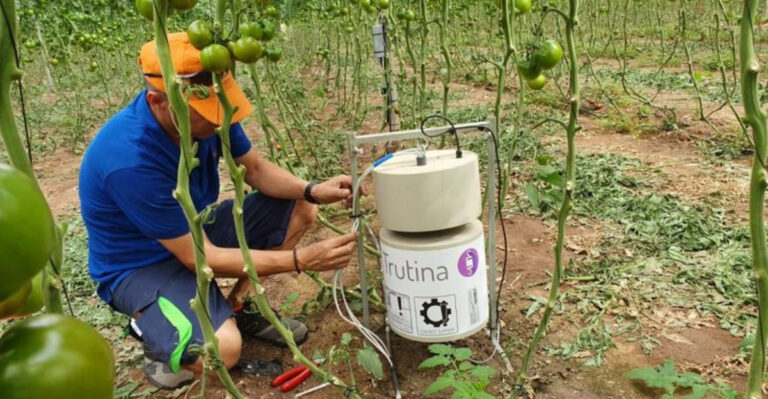 Automated Watering Systems: Are They Worth It?