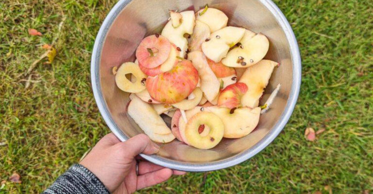 Don’t Toss Those Apple Scraps! 22 Genius Ways to Reuse Apple Cores and Peels