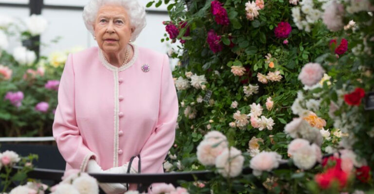 Floral Royalty: 14 Exquisite Blooms That Captivate the Crown