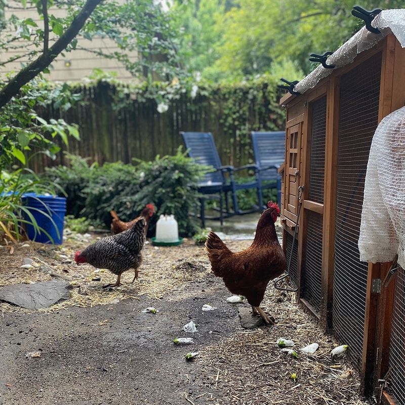 Loud Noises & Sudden Movements