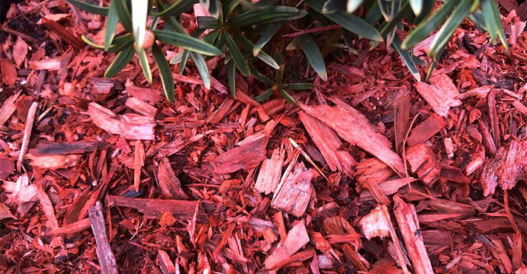 Mulch Secrets: 10 Things No One Warns You About