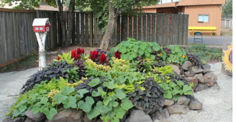Regenerative Gardening: 20 Proven Techniques to Supercharge Your Soil and Boost Plant Growth