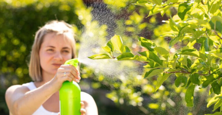 Say Goodbye to Garden Pests: 10 Reasons to Use This DIY Neem Oil Spray