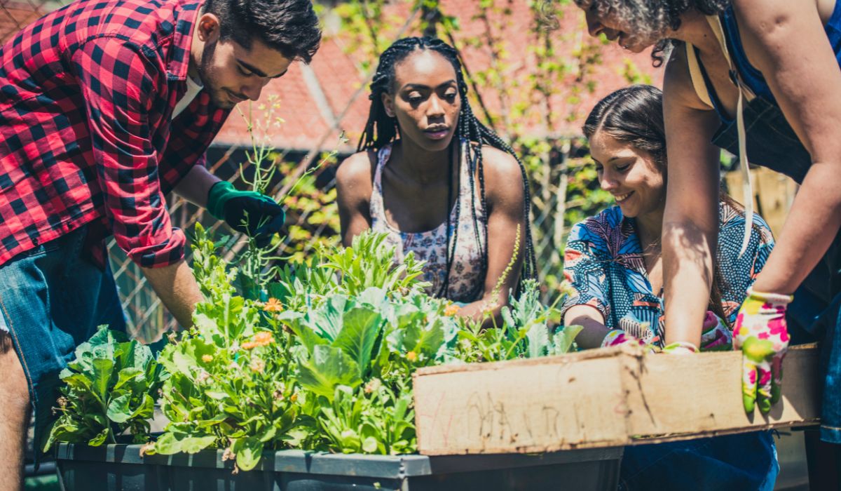 Urban Gardening 101: How to Start Growing Green in the City - Complete ...