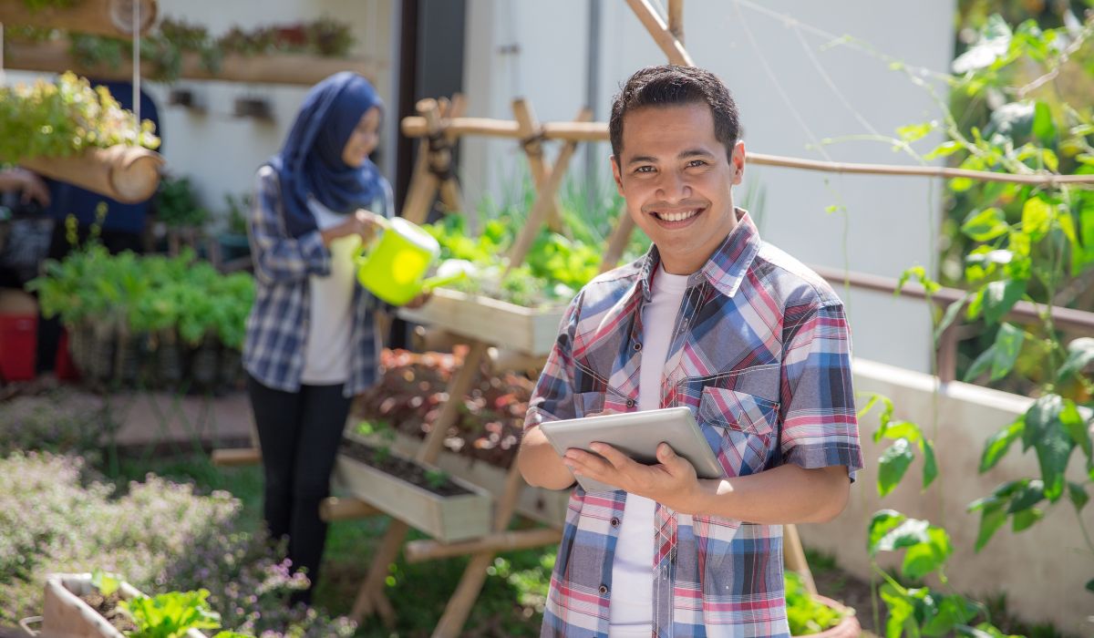 Urban Gardening 101: How to Start Growing Green in the City - Complete ...