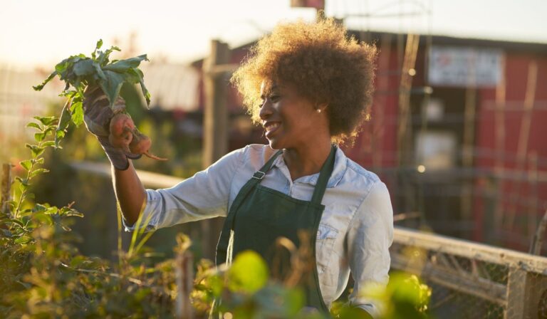 Urban Gardening 101: How to Start Growing Green in the City - Complete ...