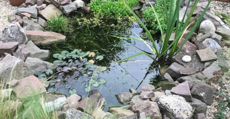 Wildlife Gardening Jobs for February: Help Nature Thrive This Winter!
