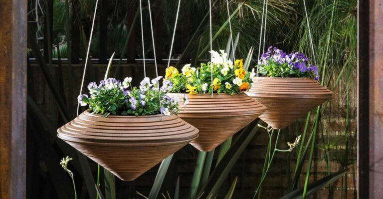 10 Expert Tips for Growing Stunning Hanging Baskets from Seed
