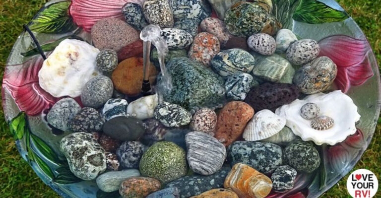 10 Smart Reasons to Put Rocks in Your Birdbath (It’s Not Just for Looks!)