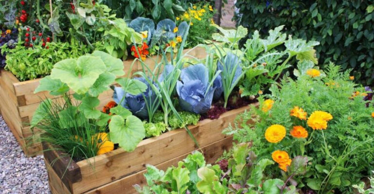 14 Fresh and Flavorful Vegetables to Grow for a Lush Home Oasis