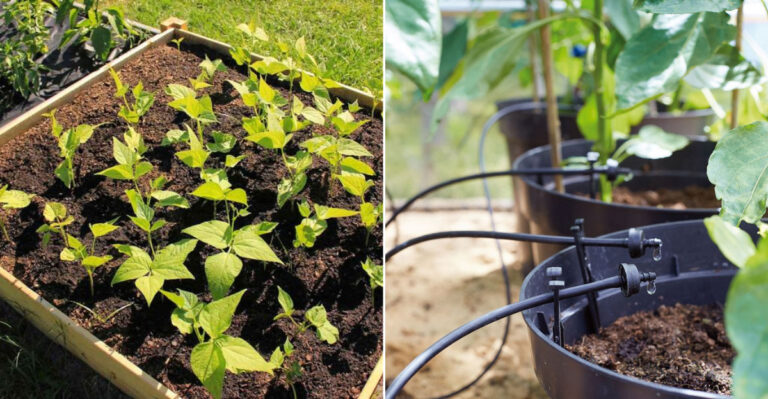15 Genius Lazy Gardening Hacks for a Thriving Spring Garden