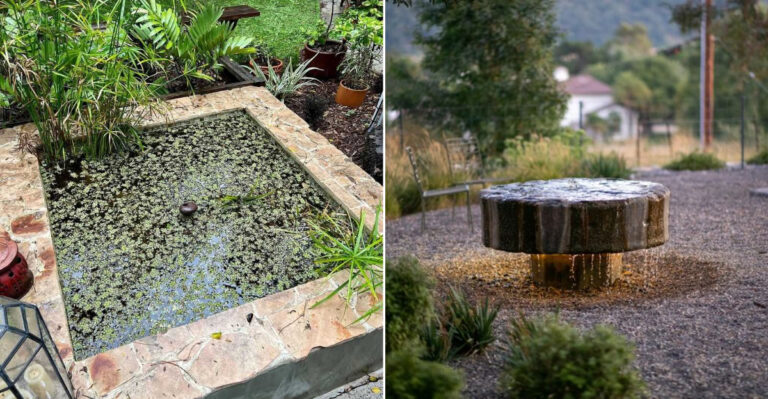 15 Hidden Downsides of Adding a Fountain to Your Yard