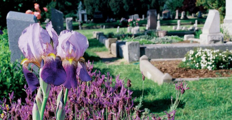 18 Meaningful Flowers to Plant Near Graves for a Lasting Tribute