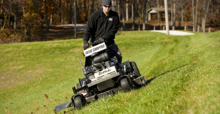 20 Things You Should Never Do To Your Lawn