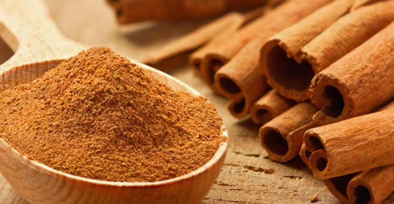 27 Powerful Medicinal Plants That Have Been Used for Centuries