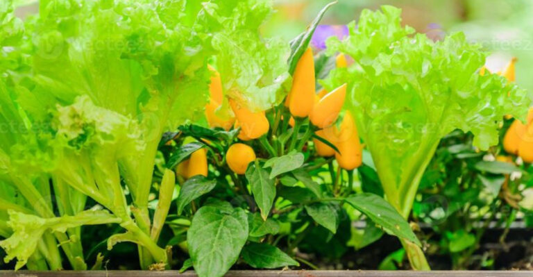 Boost Your Pepper Harvest: 20 Perfect Companion Plants for Thriving Peppers!