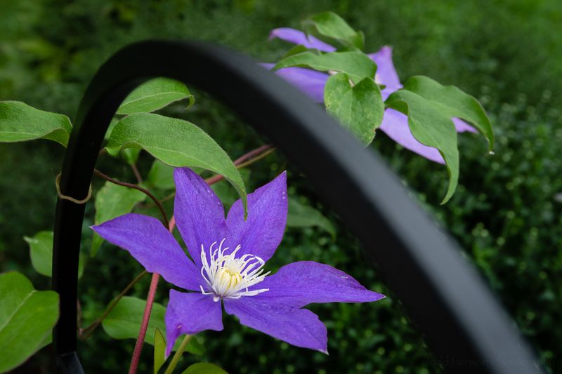 Playing with Aperture