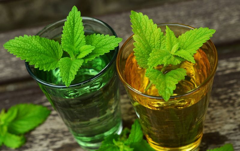 Peppermint + Lemon Balm