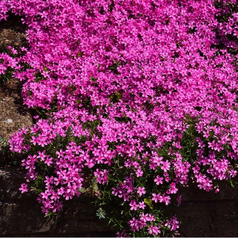 Apply at the Right Time