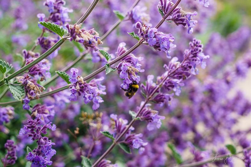 Focusing on Textures