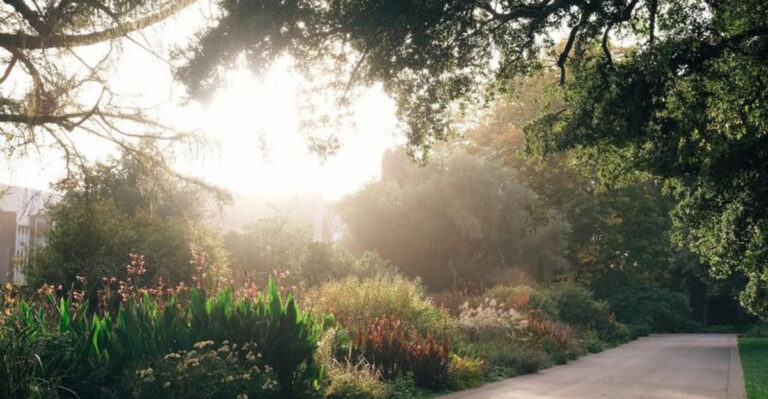 Expert Tips: 12 Pro Photography Secrets for Capturing Stunning Garden Shots